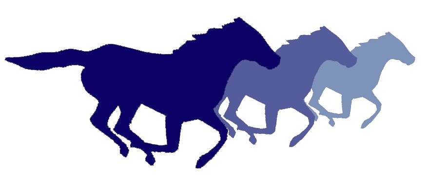 Western Counties